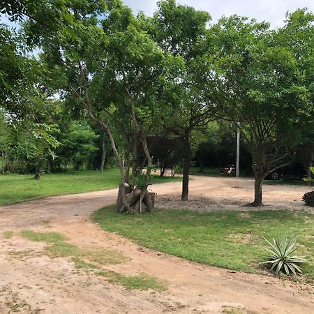 Captain'S Bird Safari Lodge Puttalam Εξωτερικό φωτογραφία