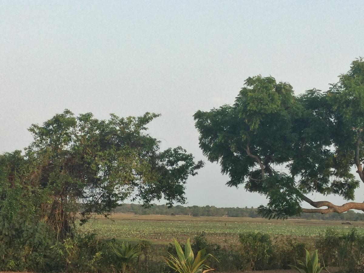 Captain'S Bird Safari Lodge Puttalam Εξωτερικό φωτογραφία