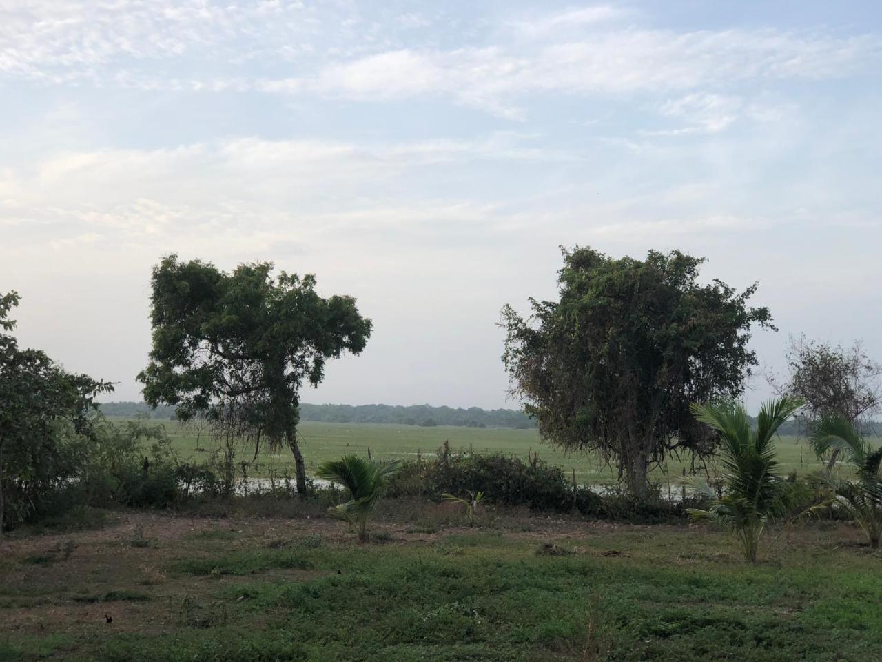 Captain'S Bird Safari Lodge Puttalam Εξωτερικό φωτογραφία