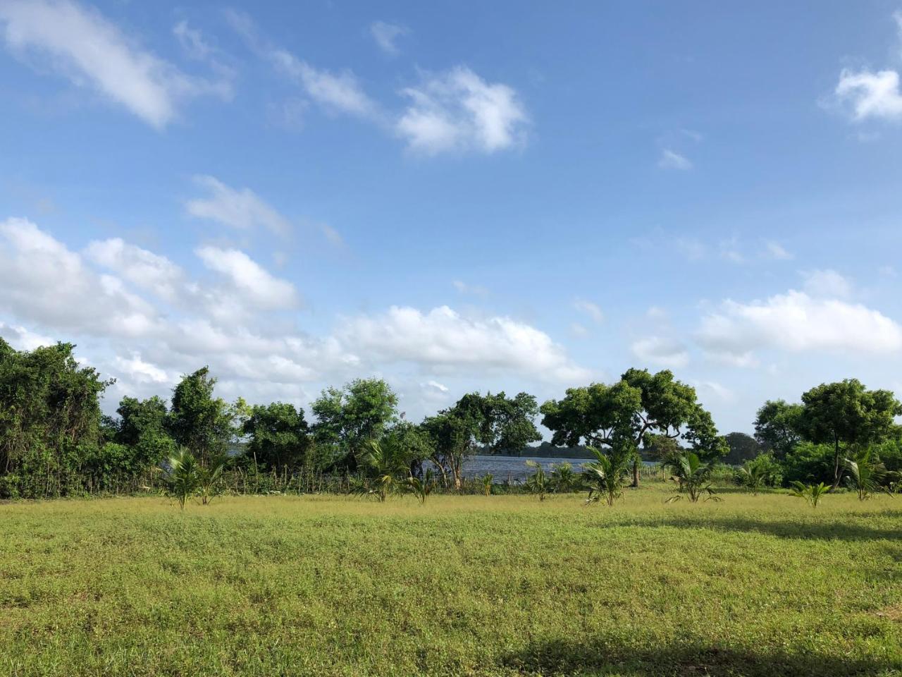 Captain'S Bird Safari Lodge Puttalam Εξωτερικό φωτογραφία