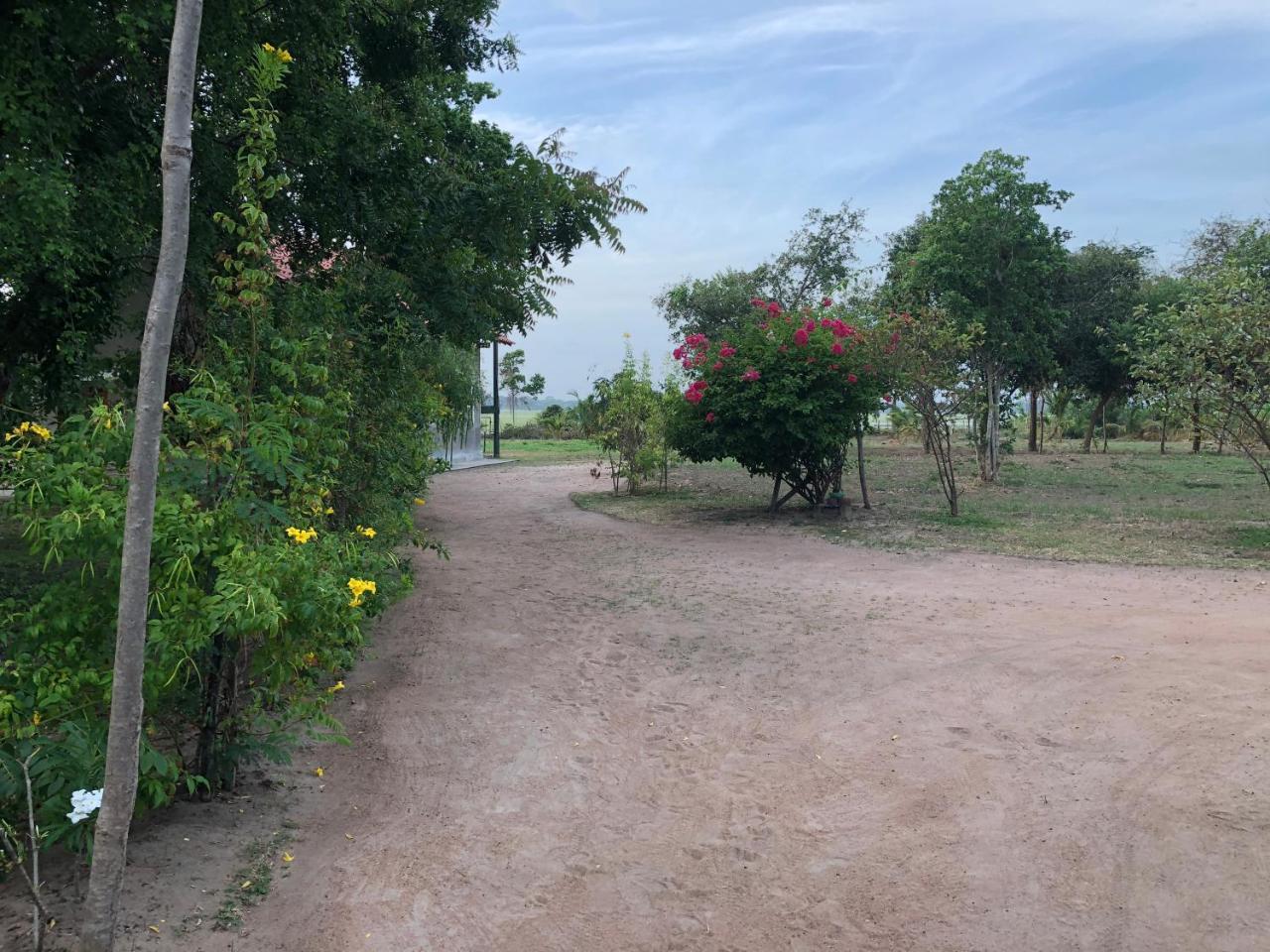 Captain'S Bird Safari Lodge Puttalam Εξωτερικό φωτογραφία