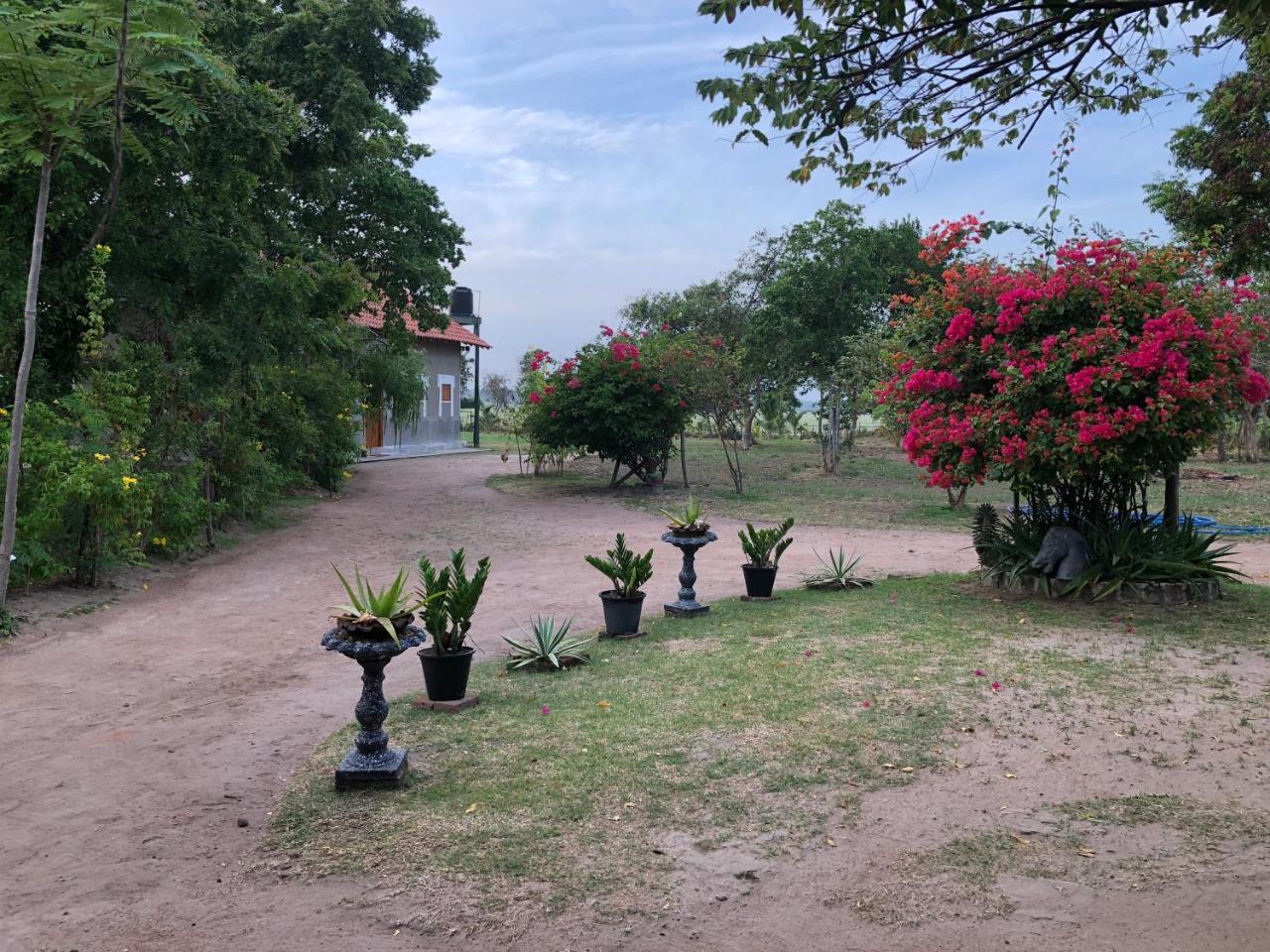 Captain'S Bird Safari Lodge Puttalam Εξωτερικό φωτογραφία