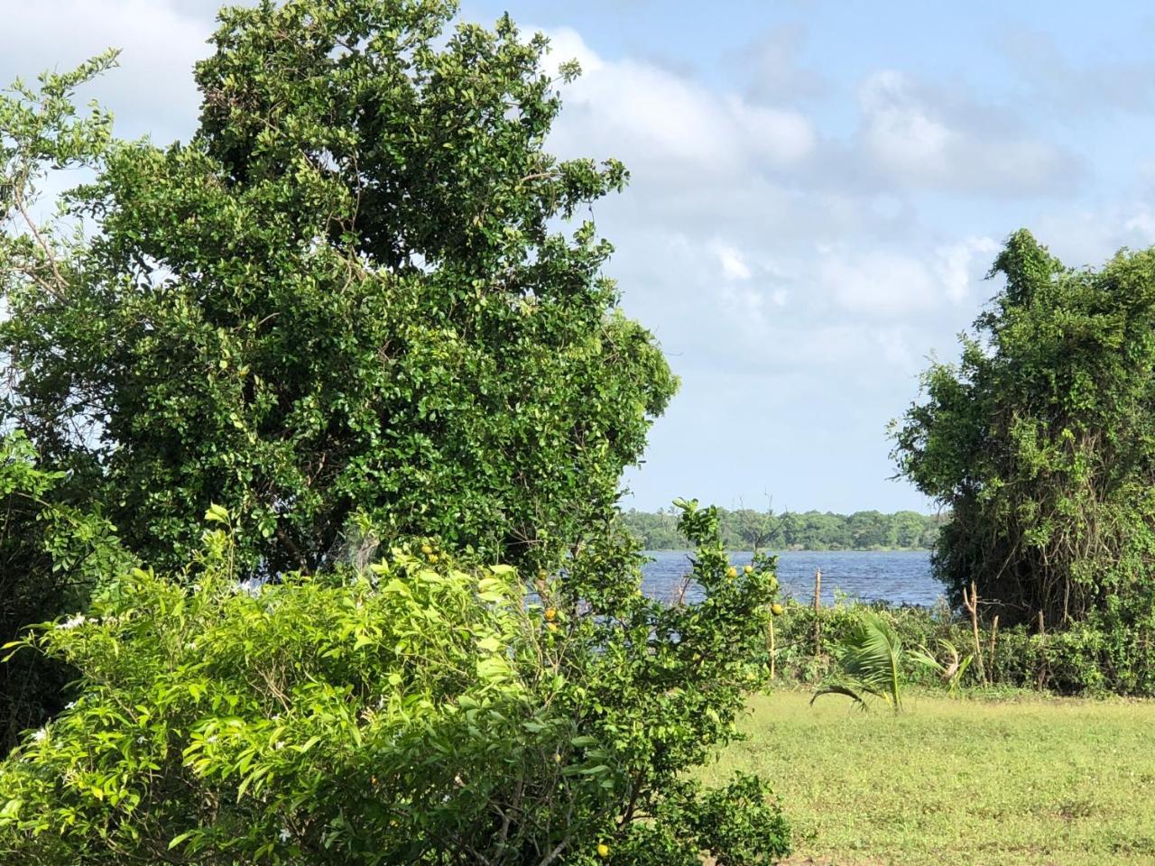 Captain'S Bird Safari Lodge Puttalam Εξωτερικό φωτογραφία