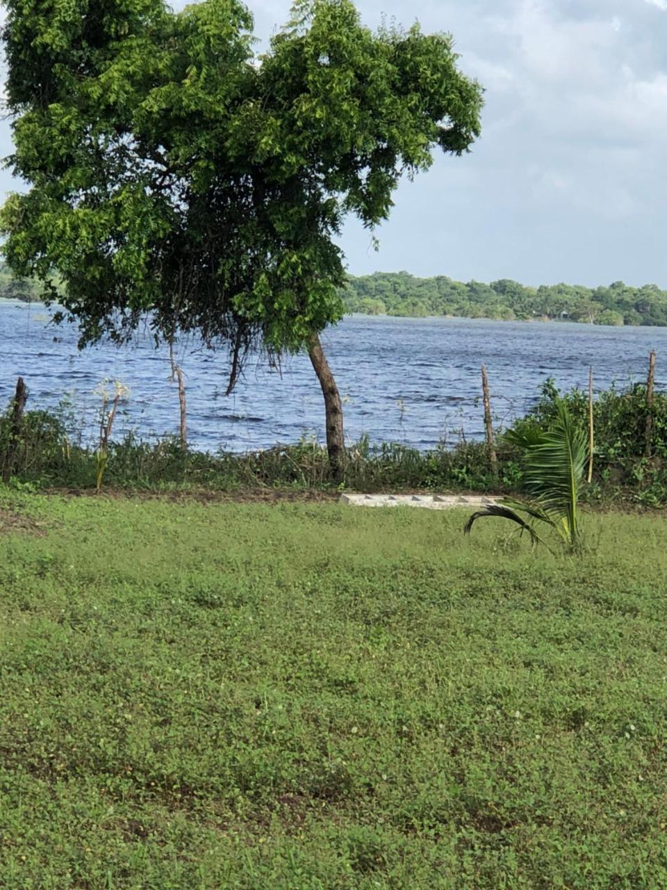 Captain'S Bird Safari Lodge Puttalam Εξωτερικό φωτογραφία