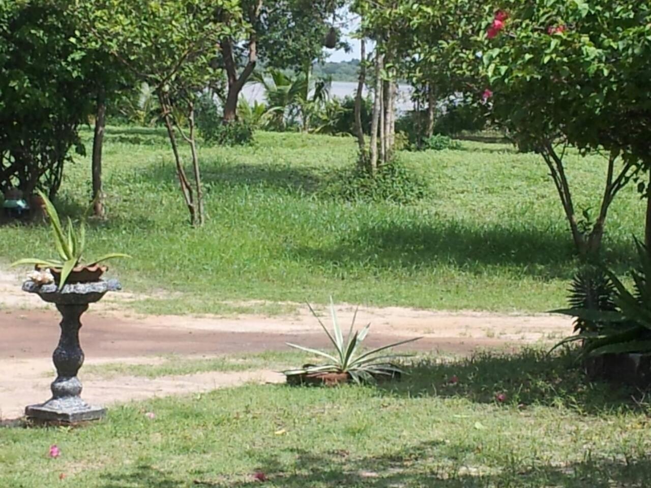 Captain'S Bird Safari Lodge Puttalam Εξωτερικό φωτογραφία