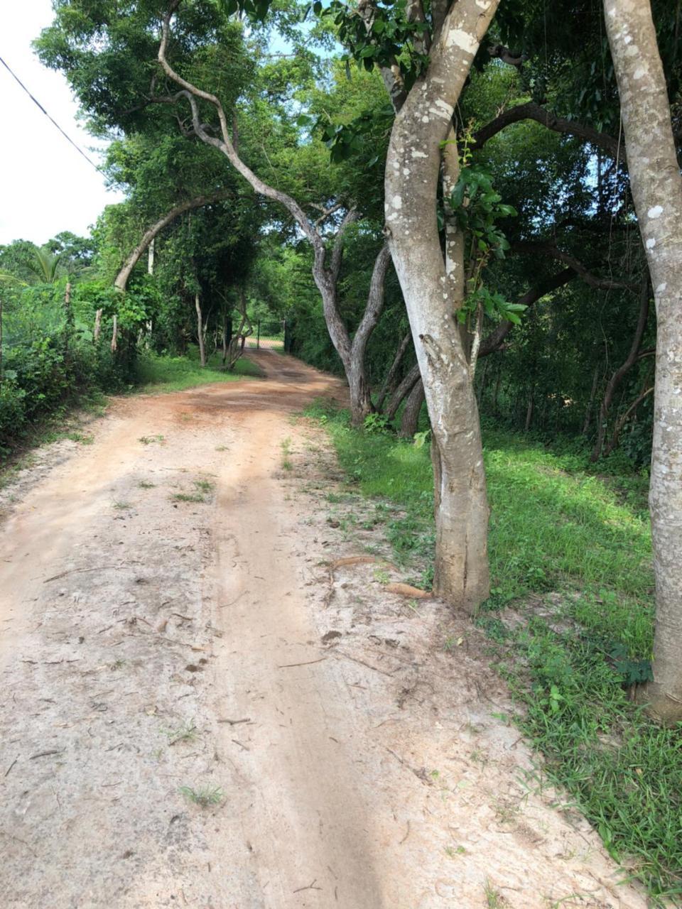 Captain'S Bird Safari Lodge Puttalam Εξωτερικό φωτογραφία