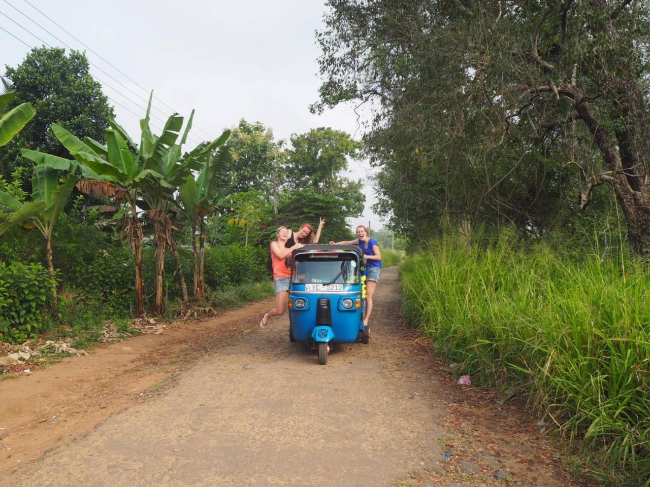 Captain'S Bird Safari Lodge Puttalam Εξωτερικό φωτογραφία