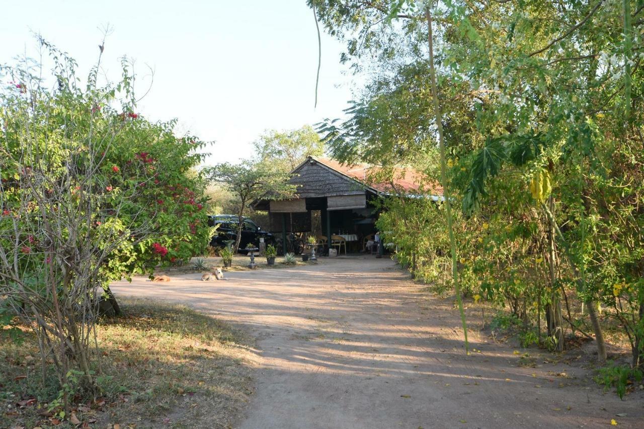 Captain'S Bird Safari Lodge Puttalam Εξωτερικό φωτογραφία