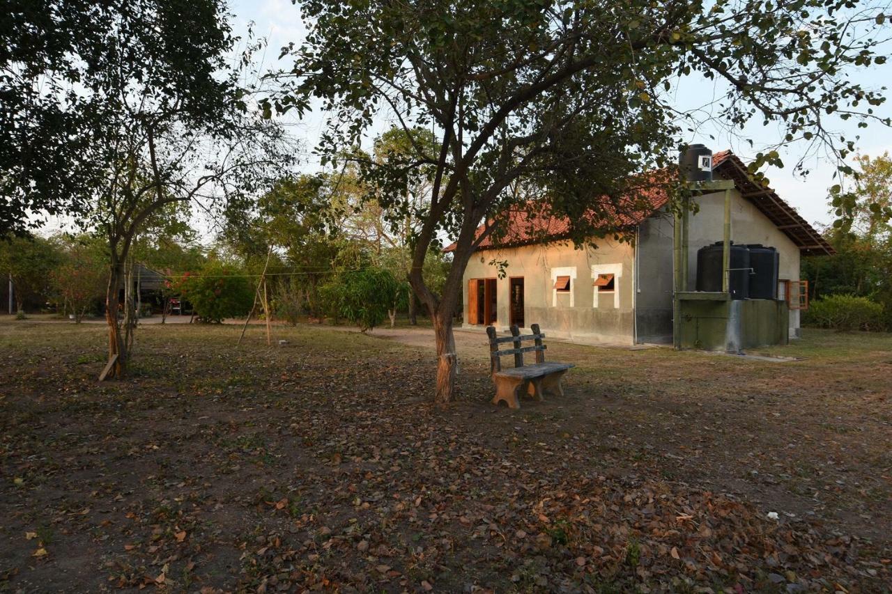 Captain'S Bird Safari Lodge Puttalam Εξωτερικό φωτογραφία